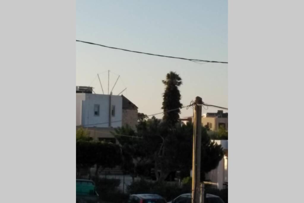 Vicky'S Apartment Near To The Airport Ολόκληρο Διαμέρισμα Antimachia エクステリア 写真