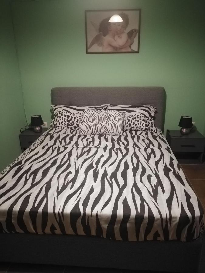 Vicky'S Apartment Near To The Airport Ολόκληρο Διαμέρισμα Antimachia エクステリア 写真